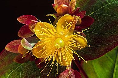 女性向像素RPG游戏《欺神弄鬼》即将登陆Steam新品节！试玩已开启